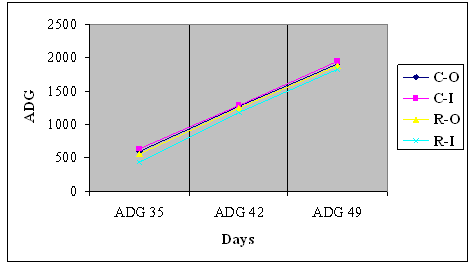 A Comparison Between Broilers Pastured in a Day Range System and Broilers Raised Intensively in the Gauteng Province, South Africa - Image 3