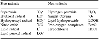 Antioxidants in physiology and nutrition of exercising horses - Image 1