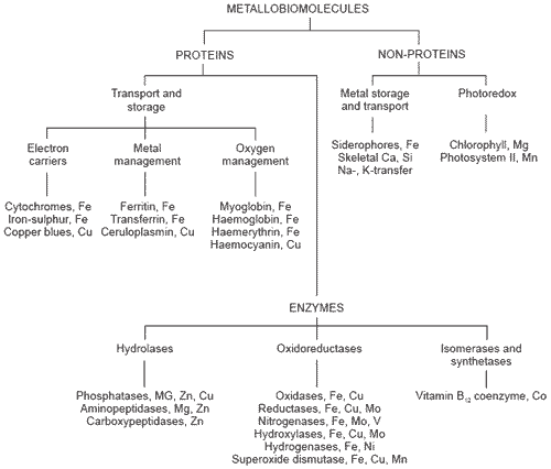 Biological chemistry and absorption of inorganic and organic trace metals - Image 2