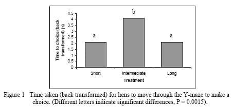 Does the quantity of reward in a Y-Maze preference test affect the hen choice and motivation? - Image 1