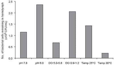 Immunological factors in Black Tiger shrimp, Penaeus monodon, Fabricius - Image 6