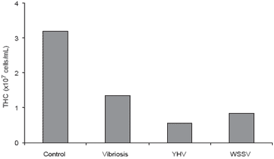 Immunological factors in Black Tiger shrimp, Penaeus monodon, Fabricius - Image 8