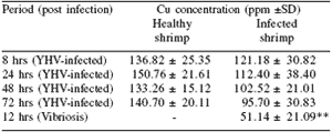 Immunological factors in Black Tiger shrimp, Penaeus monodon, Fabricius - Image 12