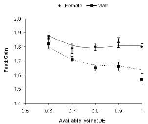 Feed efficiency in growing pigs – what’s possible? - Image 1