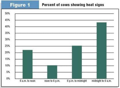 The Importance of Heat Detection - Image 1