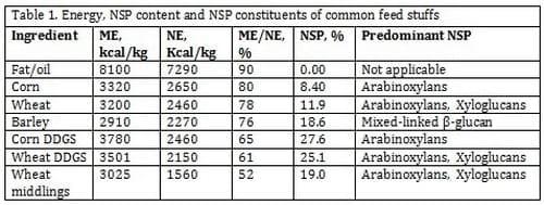 Enzyme Supplementation Improves the Gut Health of Pigs - Image 1