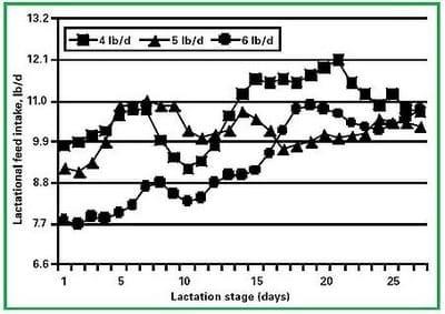 Nutritional Aspects of Sow Longevity - Image 3