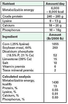 Nutritional Aspects of Sow Longevity - Image 6