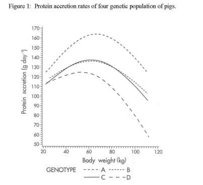 Can the growth and carcass characteristics of market hogs be manipulated by nutrition? - Image 2