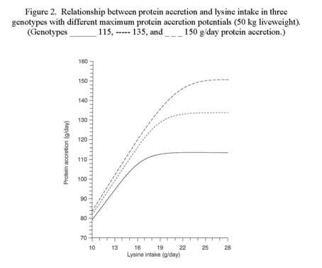 Can the growth and carcass characteristics of market hogs be manipulated by nutrition? - Image 3