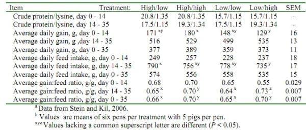 Feeding the Pig´s Immune System and Alternatives to Antibiotics - Image 1