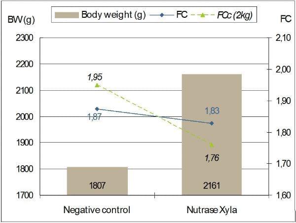 Validation trial for the prediction model for metabolizable energy upgrading of raw materials by nutrase Xyla in broilers - Image 2