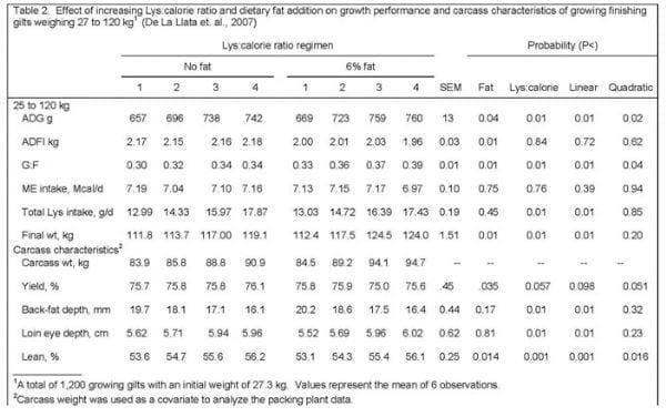 Can the growth and carcass characteristics of market hogs be manipulated by nutrition? - Image 4