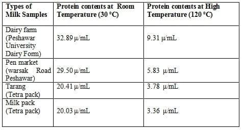 Milk Protein Behavior at High Temperature - Image 1