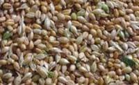 KOFA – Preserves virtually anything! - Image 2