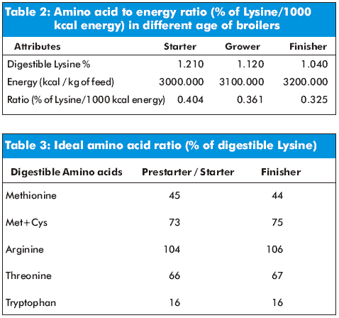 Formulating Feed for Broiler Performance - Image 2