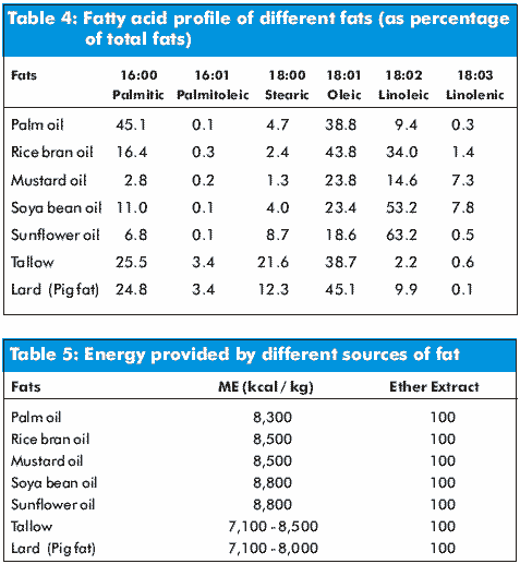 Formulating Feed for Broiler Performance - Image 3