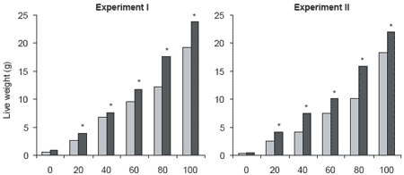 A Bacillus probiont for Black Tiger shrimp culture - Image 8
