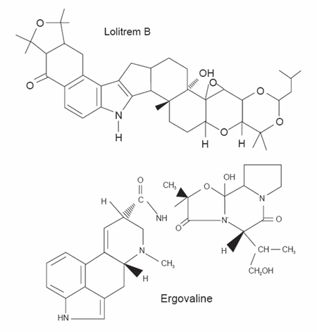 The biochemistry behind esterified glucomannans titrating mycotoxins out of the diet - Image 8