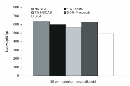 The biochemistry behind esterified glucomannans titrating mycotoxins out of the diet - Image 9
