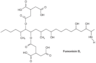 The biochemistry behind esterified glucomannans – titrating mycotoxins out of the diet - Image 6