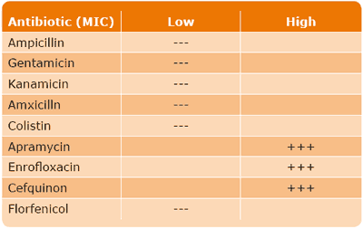 Urinary Tract Infection (UTI) in Sows - A review - Image 6