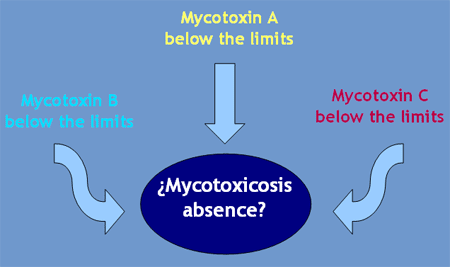 Interpretation of the results of mycotoxin's analysis in feed - Image 18