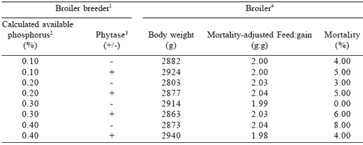 Optimization of dietary phosphorus for broiler breeders and their progeny - Image 2