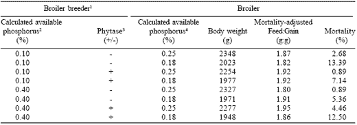 Optimization of dietary phosphorus for broiler breeders and their progeny - Image 6