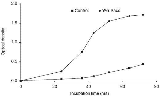 Yeast culture in equine nutrition and physiology - Image 3