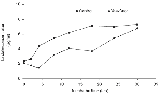 Yeast culture in equine nutrition and physiology - Image 5