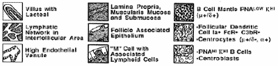 Can Probiotics Have a Beneficial Impact on the Health Status of Farmed Animals? - Image 3
