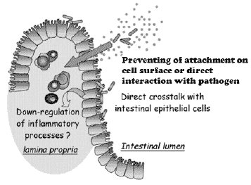Can Probiotics Have a Beneficial Impact on the Health Status of Farmed Animals? - Image 4