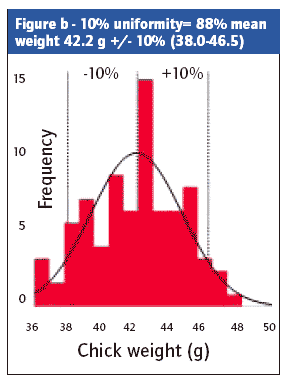 Maximising chick uniformity, performance and vitality - Image 6