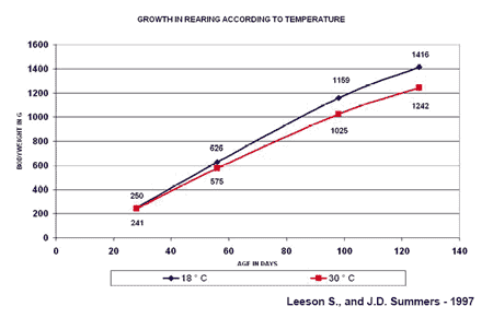 Lighting programme in hot climate houses: Between Latitudes 20° north and 20° south - Image 2