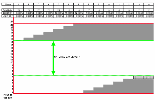 Lighting programme in hot climate houses: Between Latitudes 20° north and 20° south - Image 3