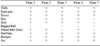 Coping with mycotoxin contamination: protecting equine performance and health - Image 1