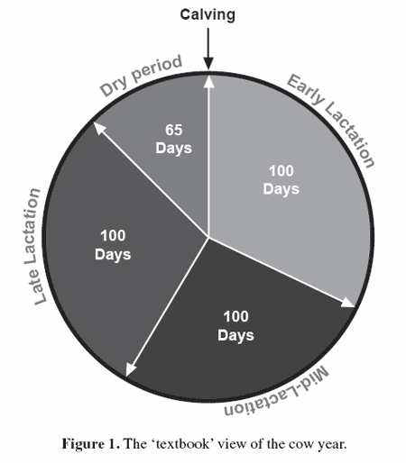 Re-creating dairy cow management: the 