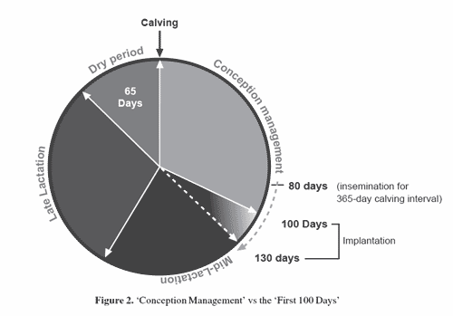 Re-creating dairy cow management: the 