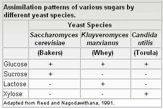 Yeast Products in the Feed Industry: A Practical Guide for Feed Professionals - Image 2