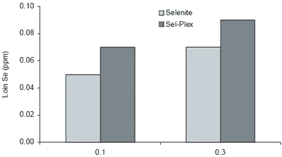 Dietary nutrient supplements improve meat quality - Image 1