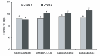 Value and use of ‘new generation’ distiller’s dried grains with solubles in swine diets - Image 12