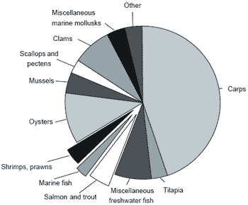 The relative contributions and ecological impacts of aquaculture and capture fisheries - Image 3