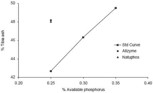 Effects of application variation and side activities on the efficacy of phytase in broiler diets - Image 12