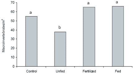 Effect of feeds, feeding and natural foods on freshwater prawn production - Image 4