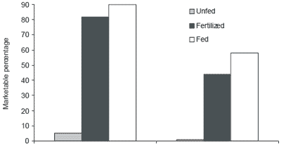 Effect of feeds, feeding and natural foods on freshwater prawn production - Image 9