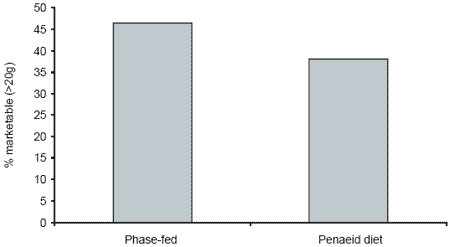 Effect of feeds, feeding and natural foods on freshwater prawn production - Image 11