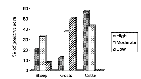 Competitive Elisa Test for Diagnosis of Bluetongue in Egypt - Image 6