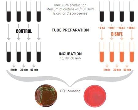 In vitro and In vivo Antimicrobial Effect of a Patented Activated Clay and its Consequence on Broilers Performance - Image 1
