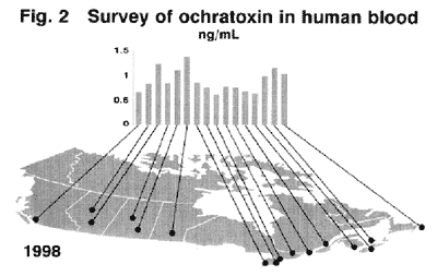 Mycotoxins in Swine Feed - Image 2
